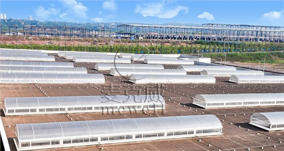 圓拱形電動(dòng)采光排煙天窗 圓拱形電動(dòng)采光排煙天窗